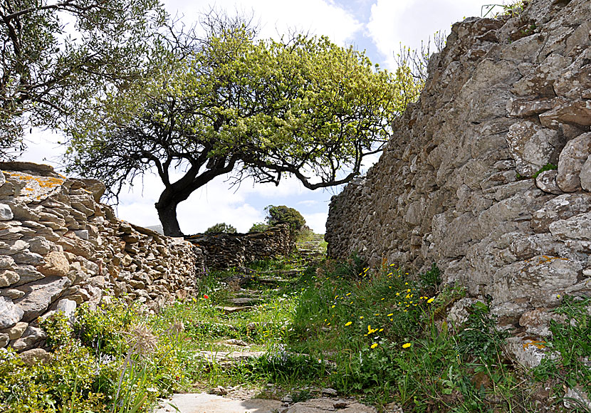 The path from Katapola to Chora on Amorgos in Greece.