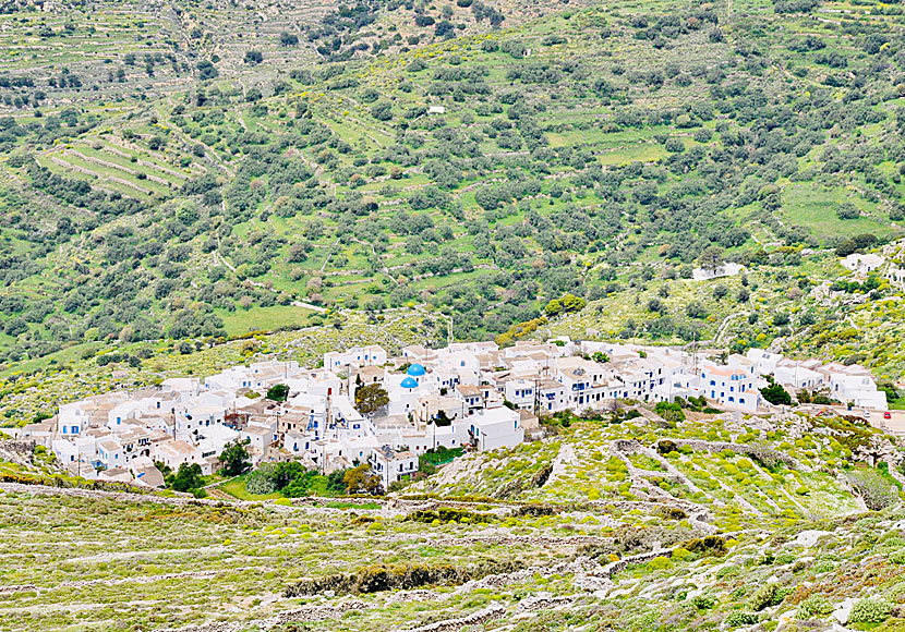 Hike from Langada to the windmills of Machos on Amorgos.