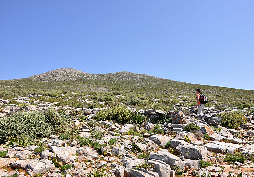 The hike to Profitis Ilias on Amorgis may at first feel like a Sisyphus mission.