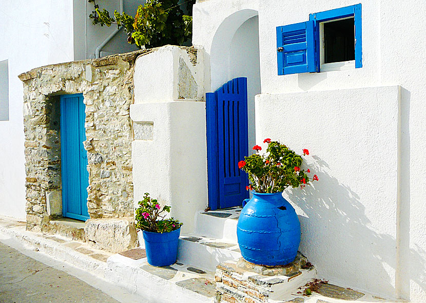 The architecture of Tholaria is typical Cycladic.