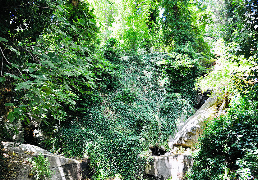 Hike to and from the village of Menites on Andros.