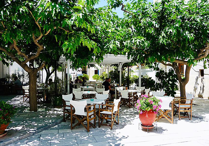Cafes and bars in Ormos Korthiou on Andros.