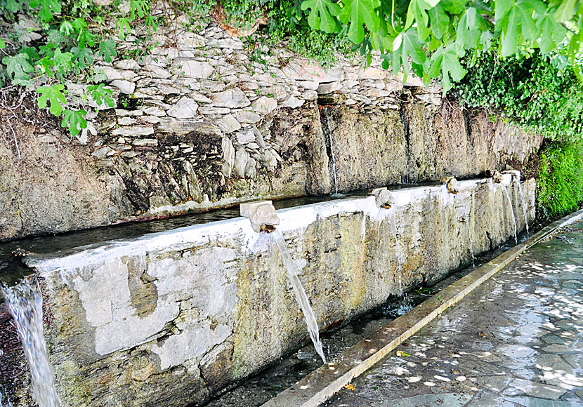 Don't miss the villages of Menites and Aladinou and Foros Cave when you visit the Monastery of Panachrantos on Andros.