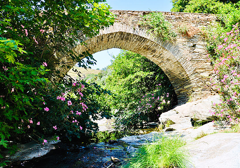 The beautiful old stone bridge Lion Bridge in Stenies on Andros.