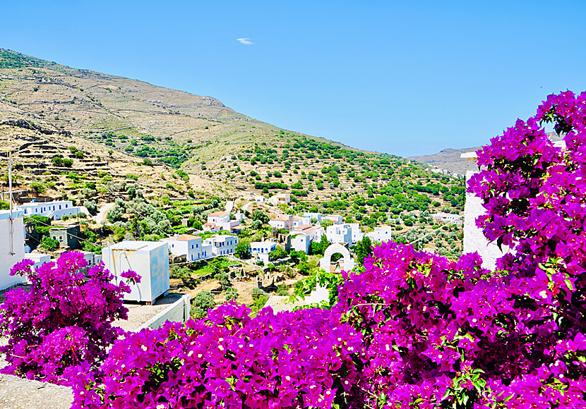 The nice little village of Aidonia on Andros has about 80 inhabitants.