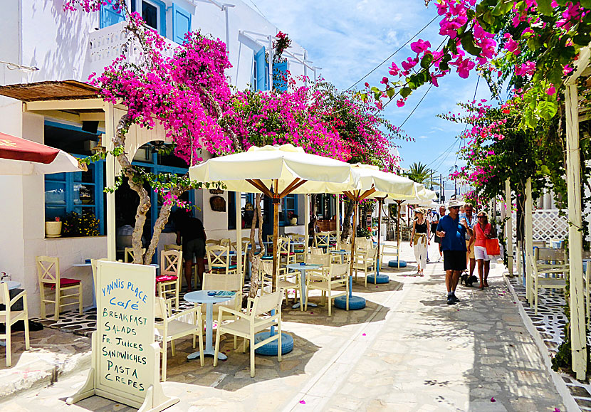 Yiannis Place on Main Street in Chora in Antiparos.