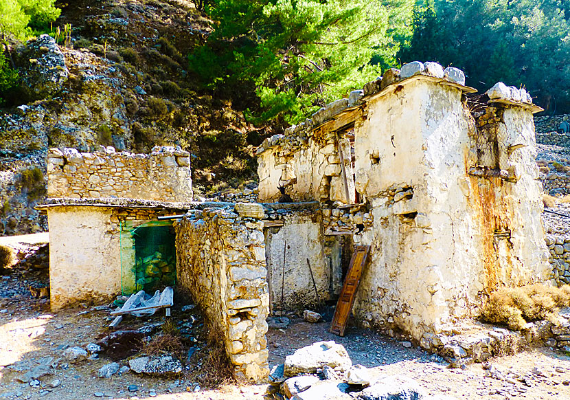 Some of the ruined houses in the abandoned village of Samaria.