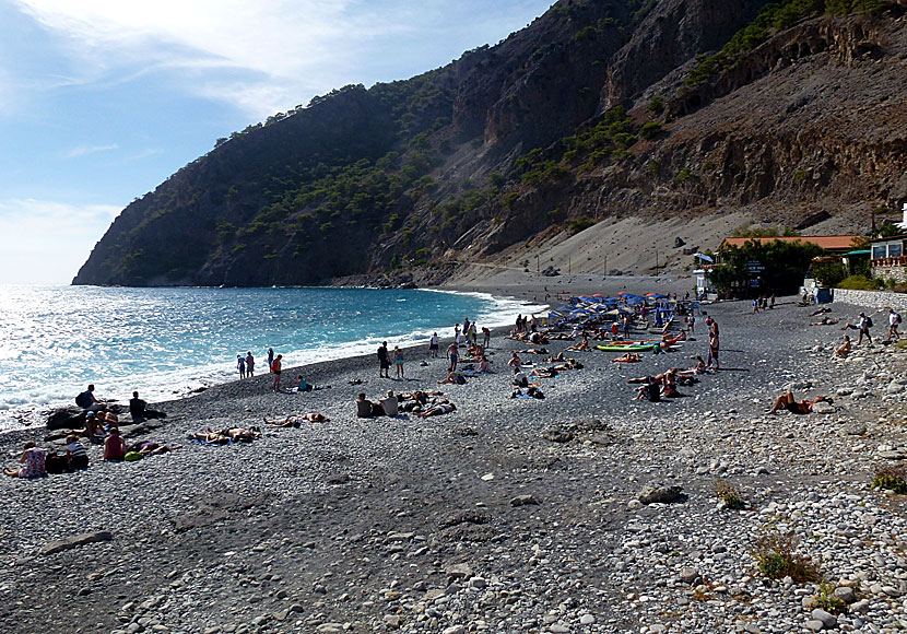 Agia Roumeli beach and taverna.