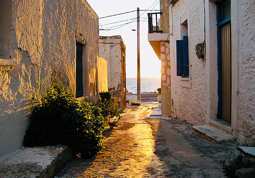 The bakeries in Paleochora open when the sun rises.