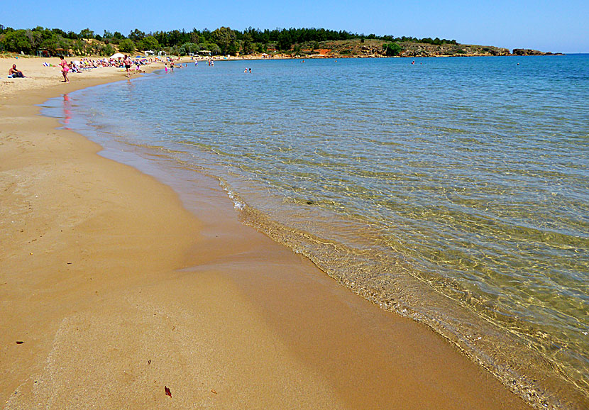 The best beaches near Chania in Crete.  Chrissi Akti beach
