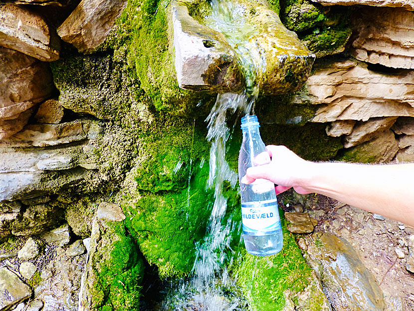 There is clean, good water to fill up in the Samaria Gorge, and there are toilets.