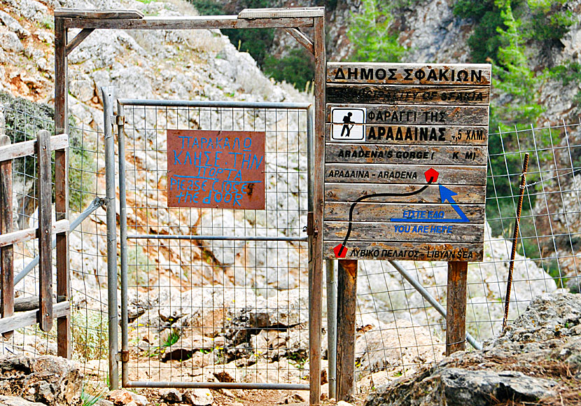 Here begins the hike in the Aradena gorge.