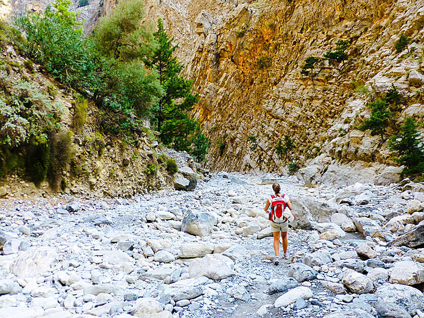 Is it strenuous and difficult to hike in the Samaria Gorge in Crete? Yes and no.