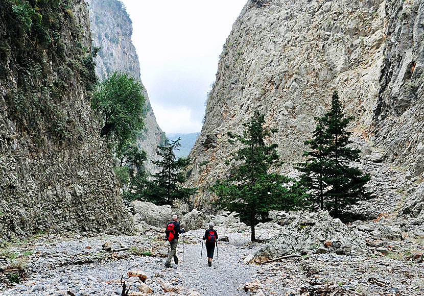 Hikings in the Aradena Gorge in southern Crete.