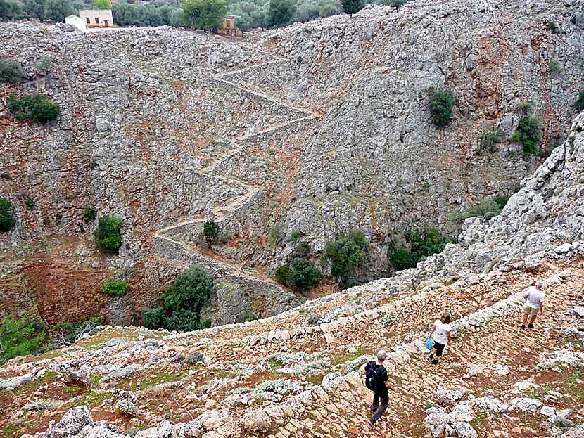 On a hike to the village of Agios Ioannis on the other side of the Aradena Bridge.