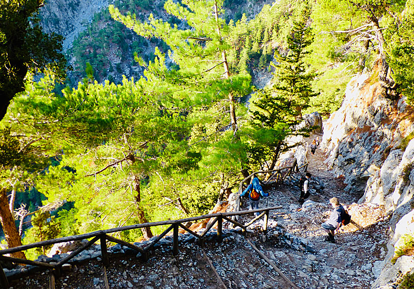 The entire walk in the Samaria Gorge takes between four and seven hours depending on your speed.