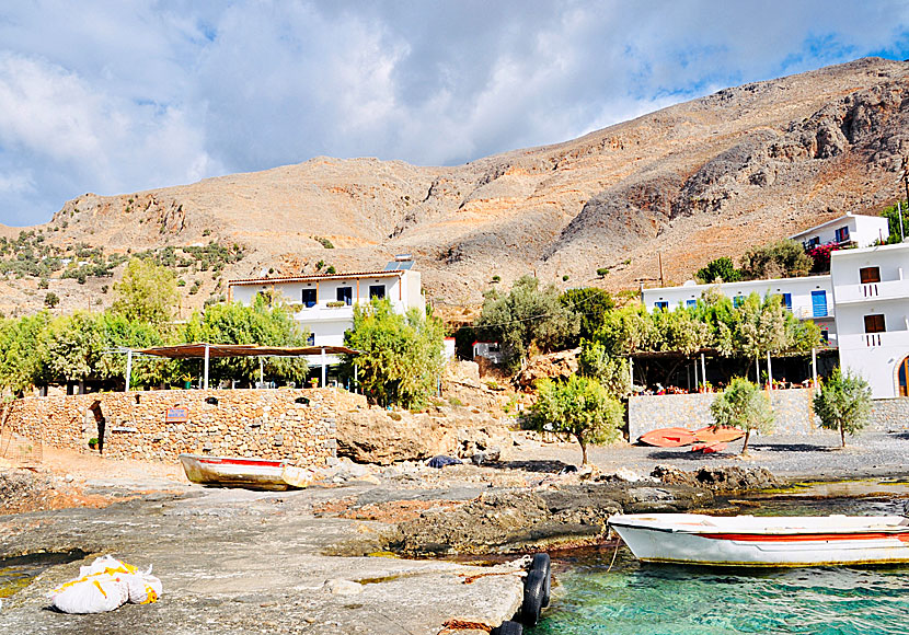Akrogiali Taverna and Pension in Lykos in southern Crete.