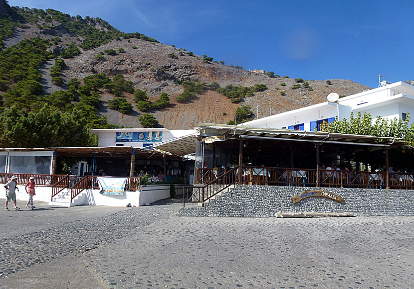 Taverna Paralia is one of many tavernas in Agia Roumeli.