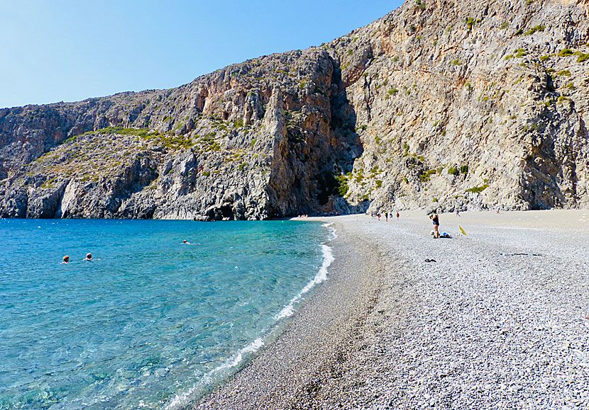 Agiofarago beach in Crete is surrounded by high cliffs and it is common to see soaring Griffon vultures.