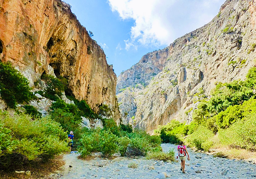 To walk in the Agiofarago gorge in Crete is easy also for inexperienced hikers.