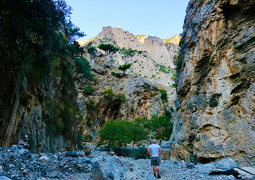 Hike in the Rouvas gorge in Zaros in Crete.