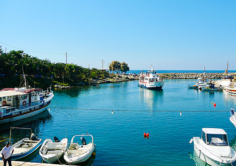 Excursion boats to and from the village of Sissi in eastern Crete.