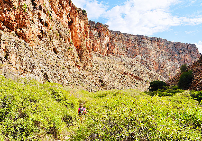 The hike in Zakros Gorge is easy and suitable even for those who don't usually hike.