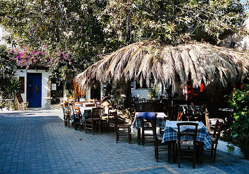 Cosy restaurants in the village of Mirtos on Crete.