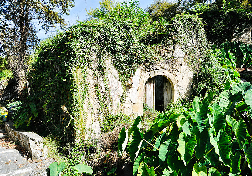 Uninhabited and abandoned houses in the lower part of Argyroupolis.