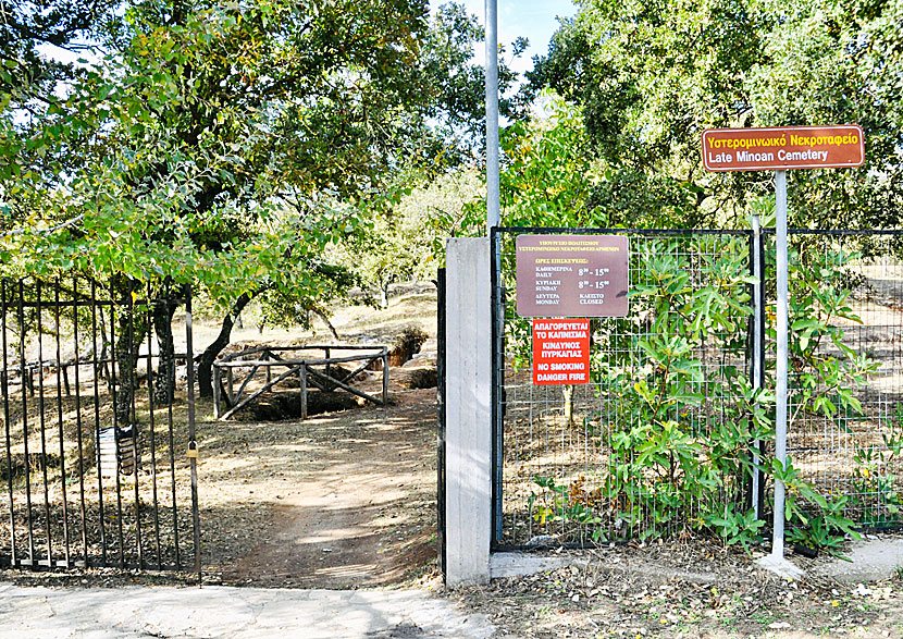 The Minoan cemetery of Armeni is open Tuesday - Sunday between 08.30-15.00 and admission is free.