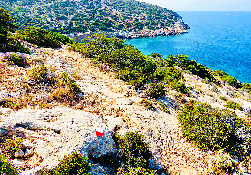 There are five excellent hiking trails on Donoussa, number 4 goes to, among other things, Kalimera beach.