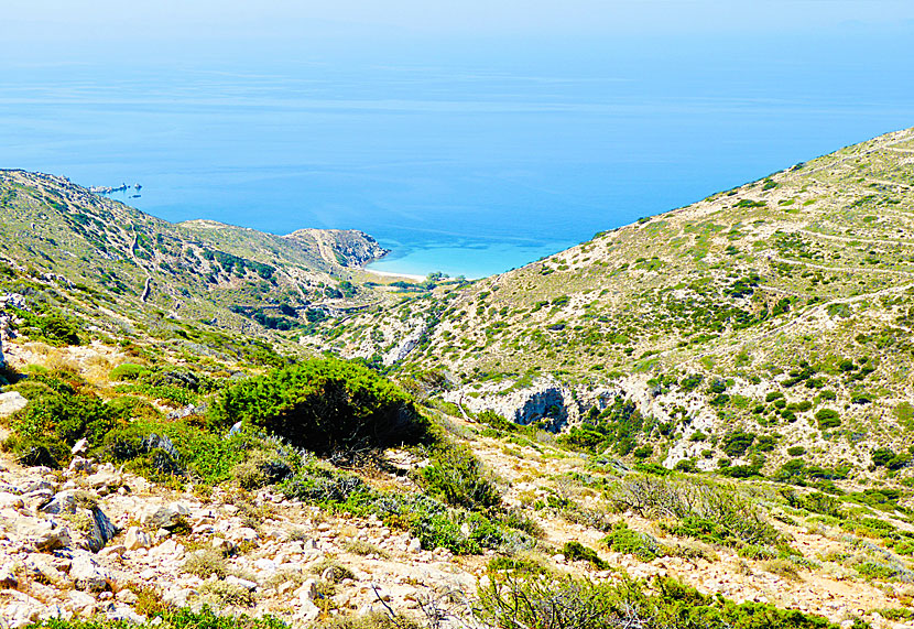 To Livadi beach on Donoussa you can go by boat or hike.