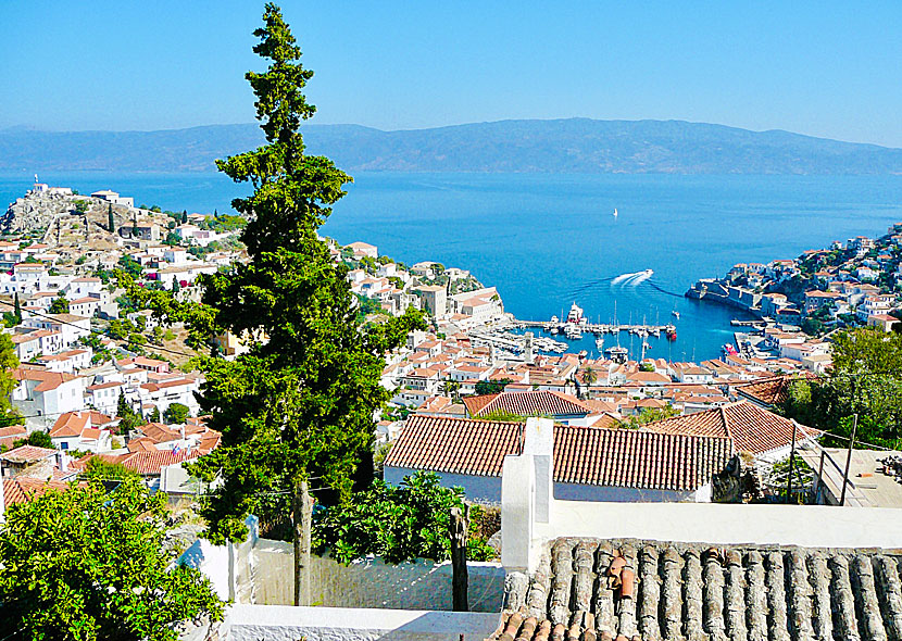 If you follow the road to the right in the port of Hydra town, you will reach Mandraki beach.