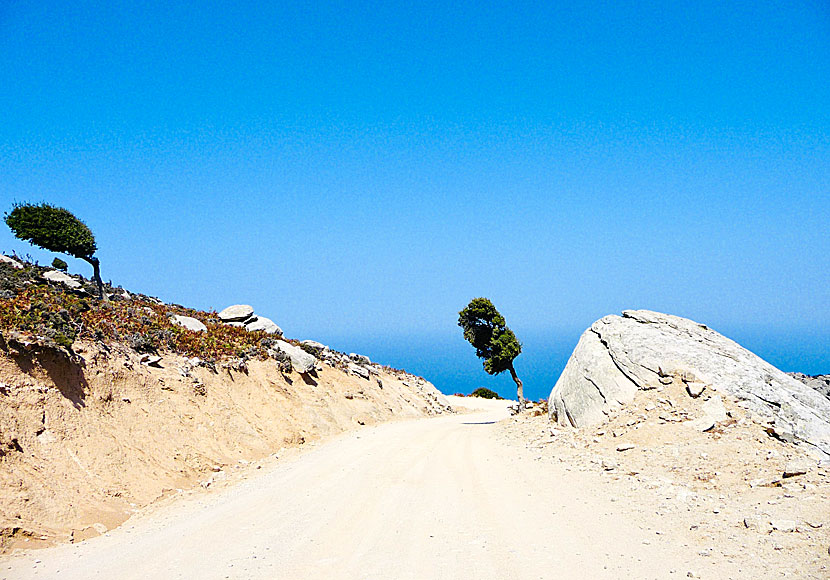 The road to Karkinagri on Ikaria.
