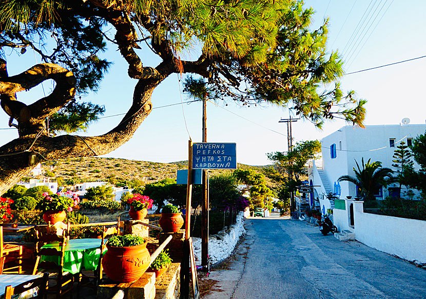 Taverna Pefkos and Maistrali in the port of Agios Georgios on Iraklia.