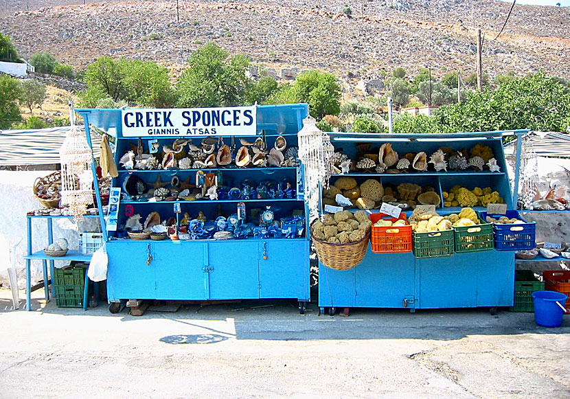 You can buy washing sponges in the port of Rina in the Vathy Valley on Kalymnos in Greece.