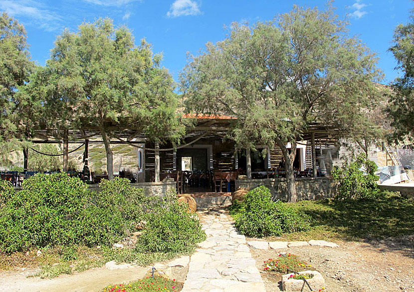 Taverna Under The Trees is located 4.5 kilometres north of Finiki.