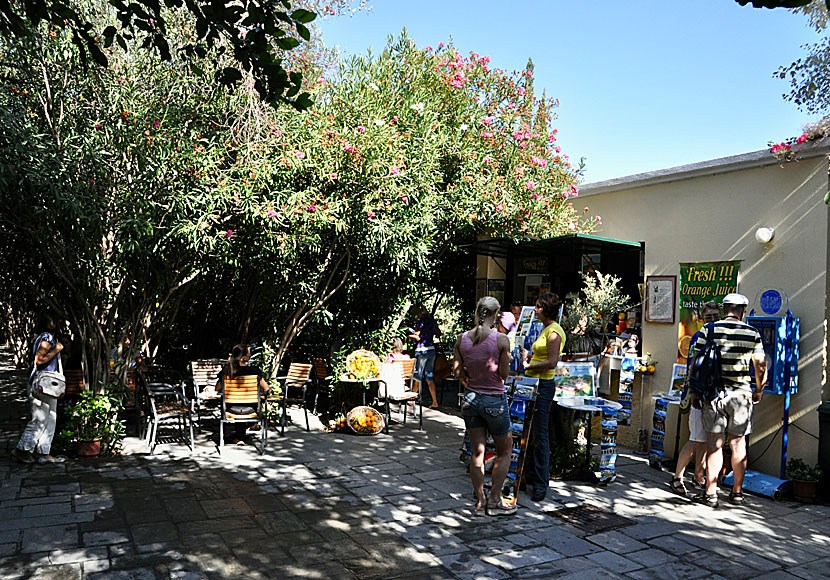 Guided tours around Asklepion on Kos can be found starting at the small cafe.