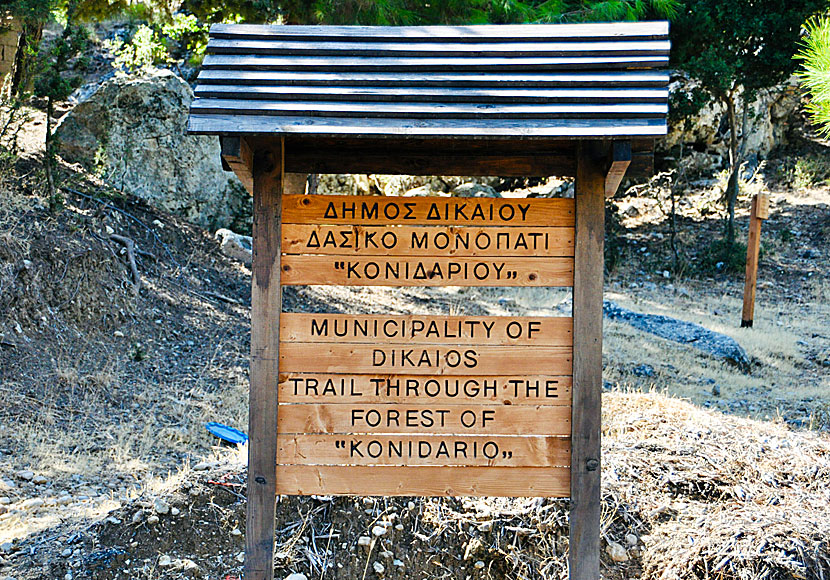 Hiking trails in Konidario forest on Kos.