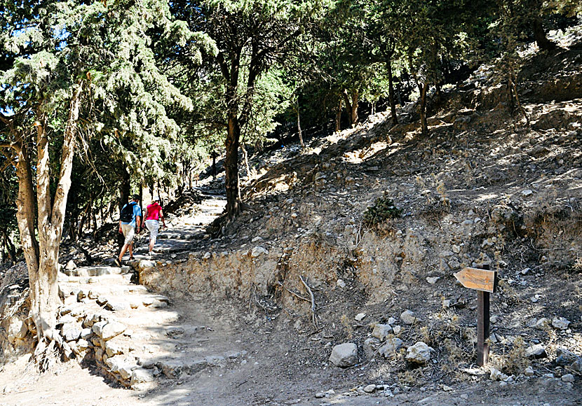 Hike to Palio Pyli Castle in Kos.