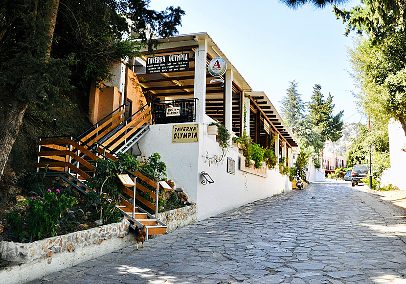 From the roof garden at Taverna Olympia in Zia you can also see the sunset.