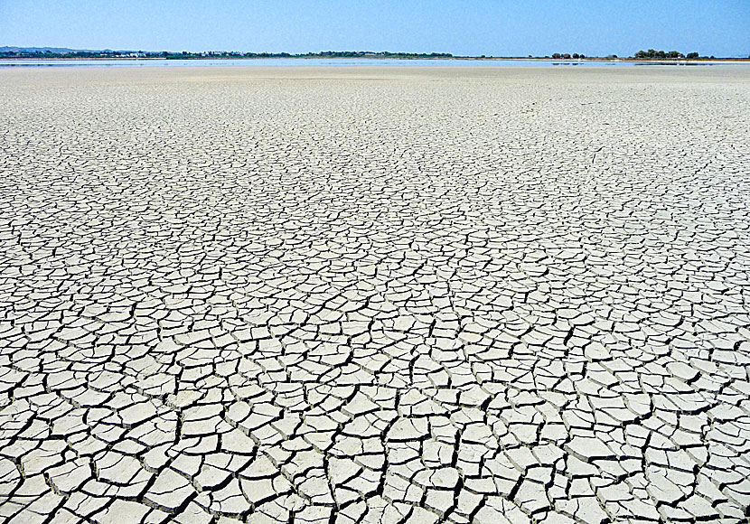 The Alyki wetland on Kos is located between Marmari and Tigaki beaches.