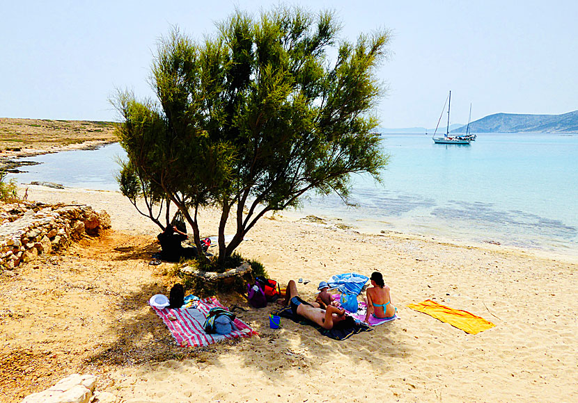 Sunbeds and shady trees at Pori beach on Koufonissi.