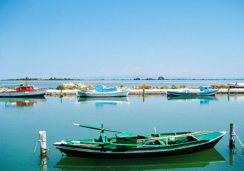 Fishing boats in the fishing harbour near the marina and bridge in Lefkada town.