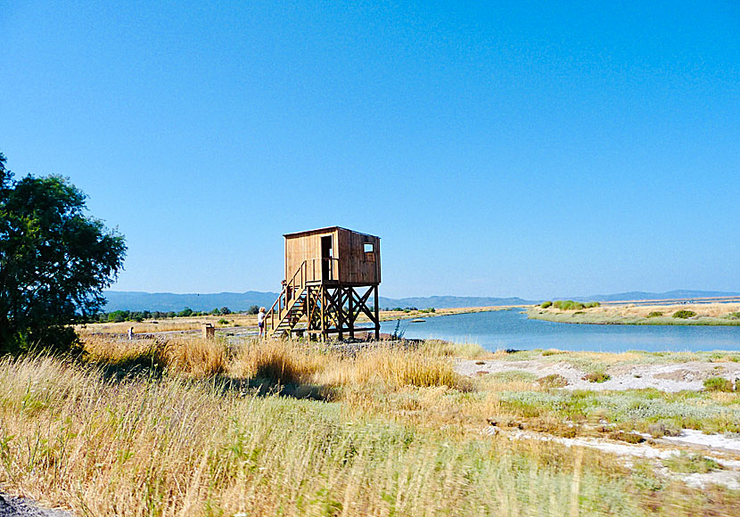 Bird watchers in a bird watching tower at Kalloni Salt Pans near Skala Kalloni in Lesbos.