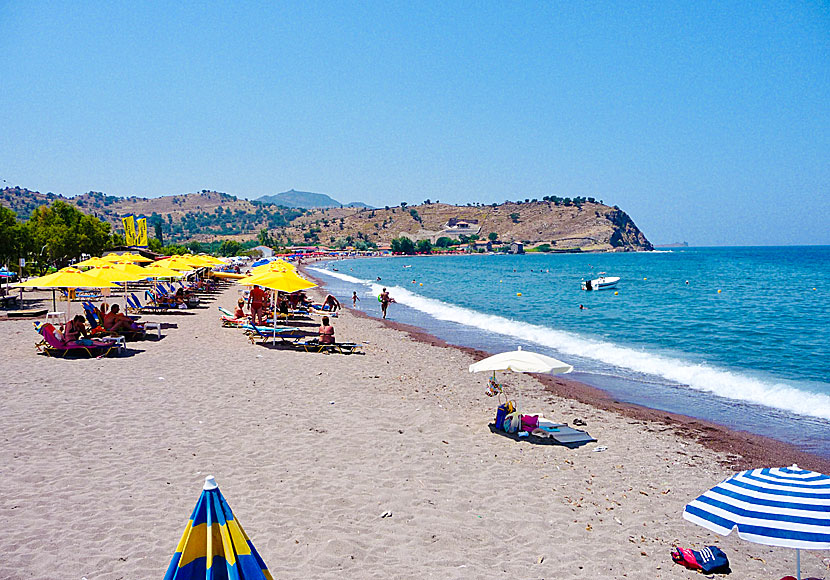 The beach of Anaxos in one direction in Lesvos.