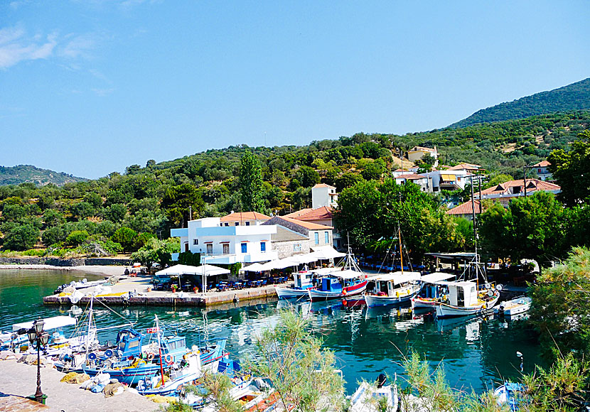 Skala Sikaminias is one of the cutest fishing villages I have seen in Greece.