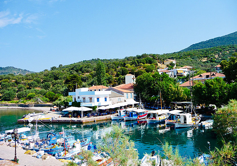 Don't miss Skala Sikaminias when you travel to Molyvos in Greece.