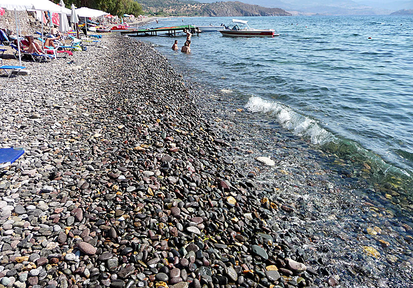The beach in Molyvos is rocky and swimming shoes are a must.
