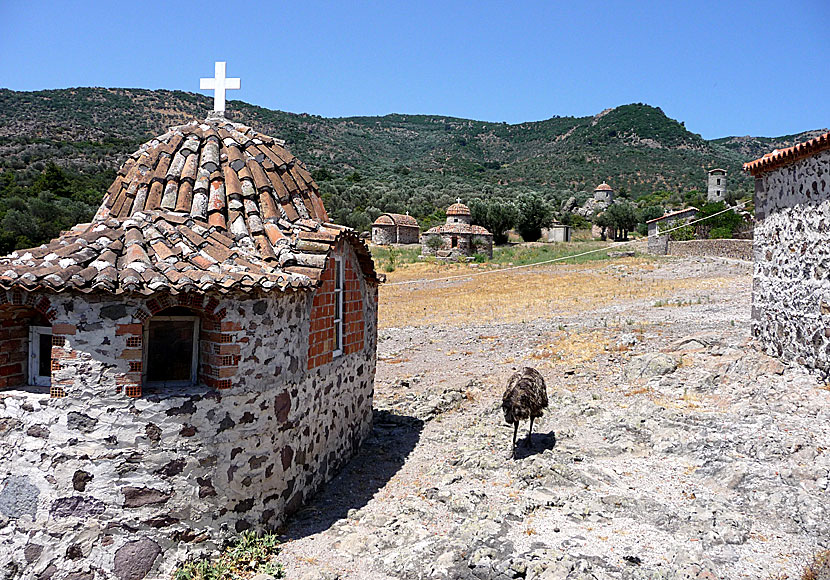 Some of the tiny churches outside Limonos Monastery in Lesvos.
